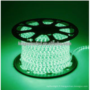 AC220V / 110V Led Strip Light / Led Rope Light